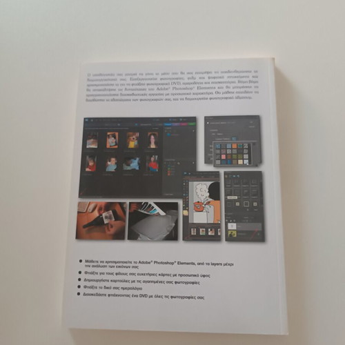 Creative Projects by Silvia Vaccaro, like new, practical guide with images