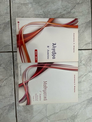 Barlas Mathematics Workbook for 2nd and 3rd Grade High School like new