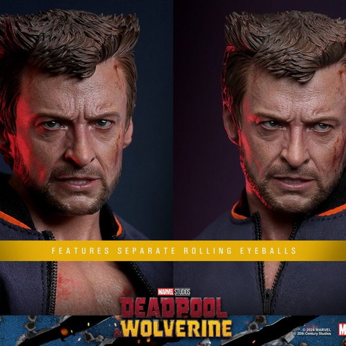 Hot Toys Wolverine TVA Jacket Version 1/6 Scale new