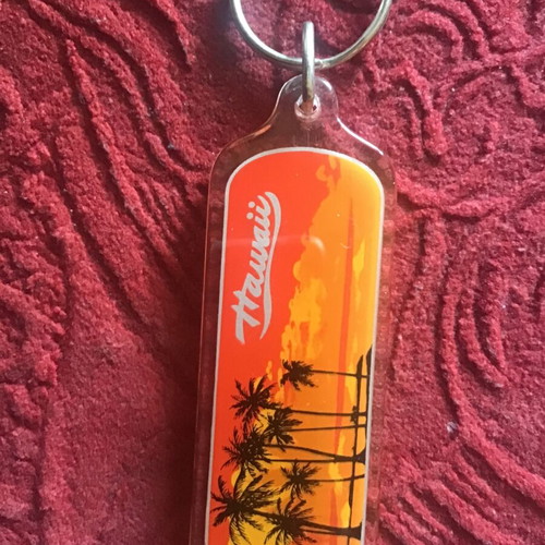 Hawaii keychain new