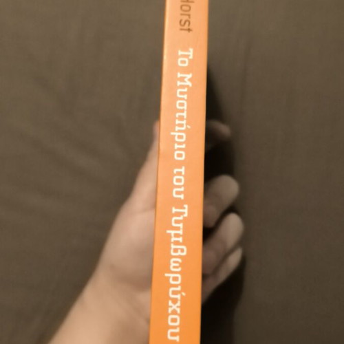 Mystery Teen Book like new, read once