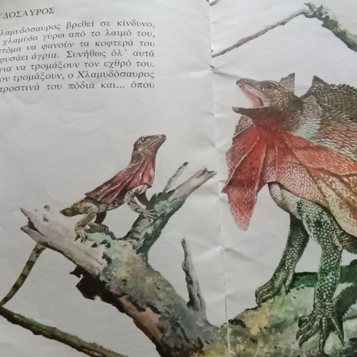 The World of Animals for Children used book