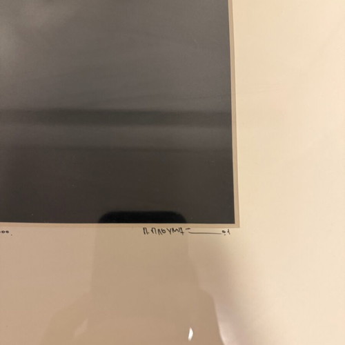 Large frame with mannequin photo like new