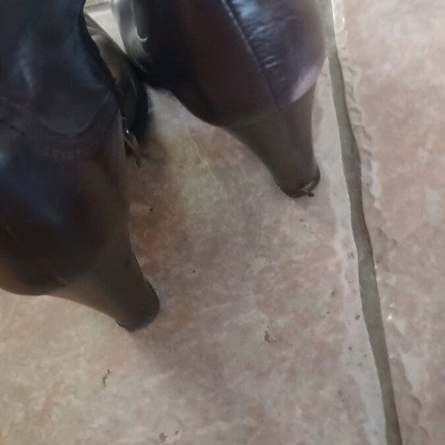 Δερμάτινες μπότες Hush Puppies μεταχειρισμένες με τρούκ γκρι 38 Νο
