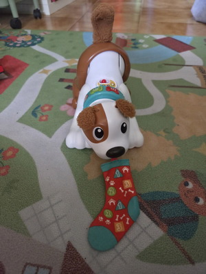Fisher Price Puppy Toy like new