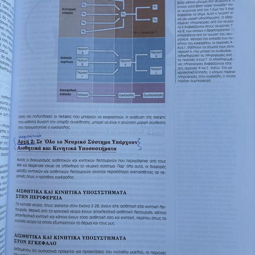 Brain and Behavior Volume 1 by Bryan Kolb & Ian Q. Whishaw