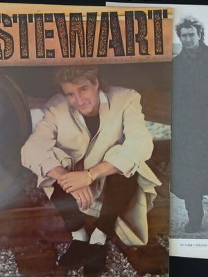 Rod Stewart Every Beat Of My Heart LP used, UK 80's pop