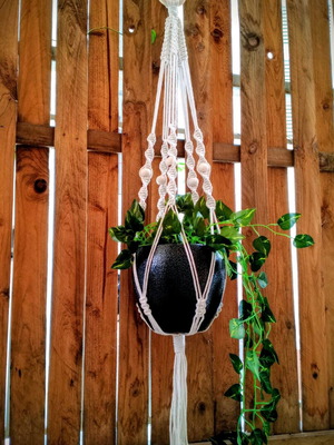 Handmade macrame plant hanger new