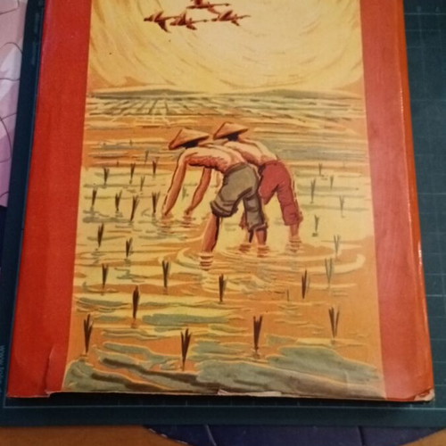 The Mother by Pearl Buck like new, classic story set in China
