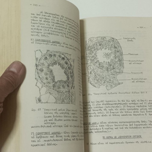 Histology and Embryology Notes and Exercises used, 1962 edition