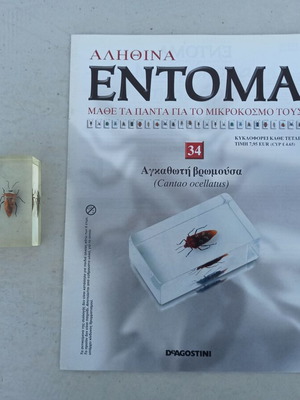 Insect Agkathoti Vromousa from Deagostini collection like new