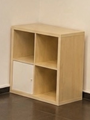 IKEA KALLAX 2x2 shelf with inset door