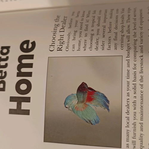 The Betta book like new, care guide for Siamese fighting fish