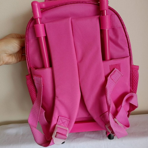 Frozen toddler trolley bag used