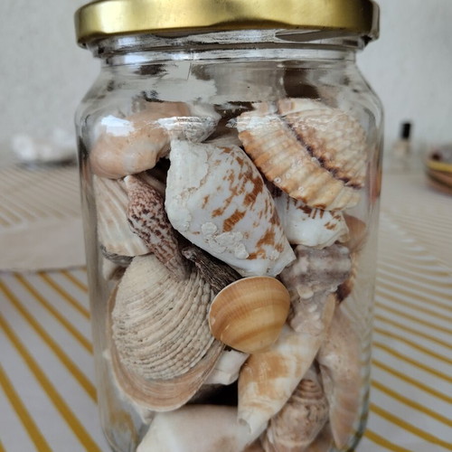 Jar with natural seashells like new