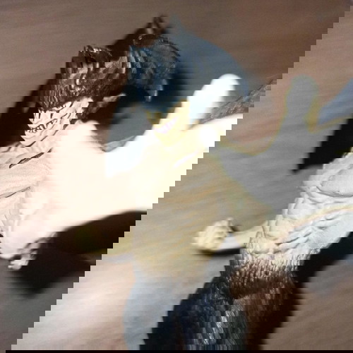 Πωλείται αυθεντική φιγούρα Devilman