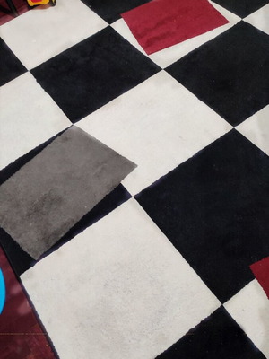 Biocarpets rug like new 2x2.90