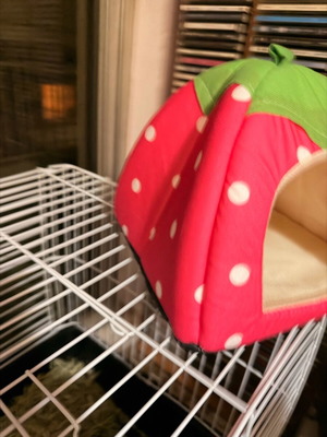 Pet hideout house new for small pet