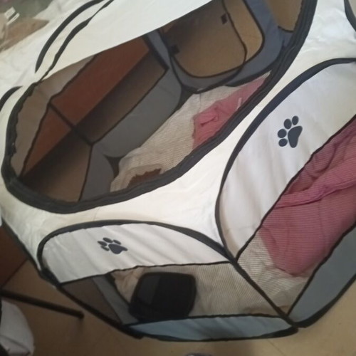 Pet house used with hole in the door
