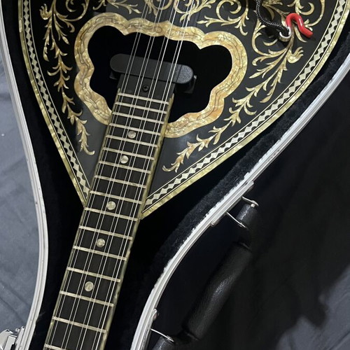 Tetrachordo Bouzouki with Two Pickups Savvas Like New