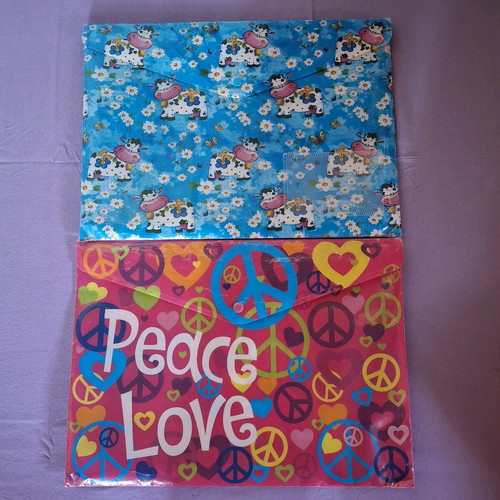 Plastic folders for photocopies used with kids' designs