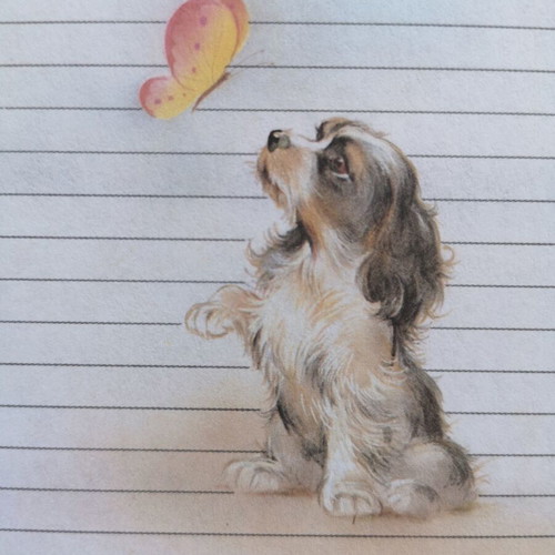 Letter paper with puppy like new