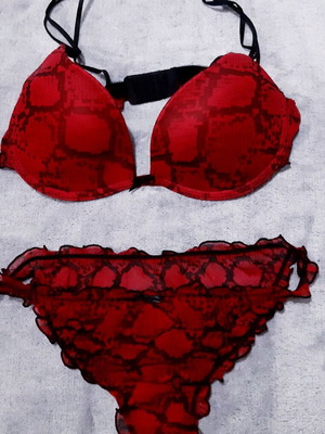 Zara sexy lingerie set 80B bra and M panties, new, animal prints red black