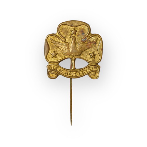 Scout movement old lapel pin used