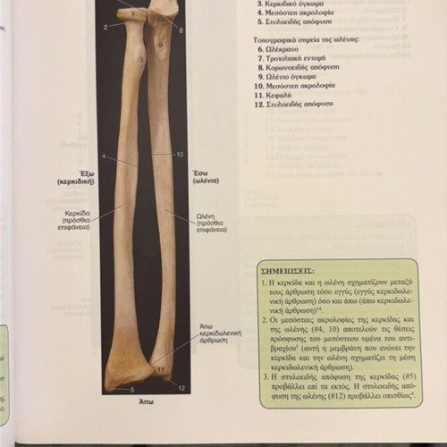 Kinesiology book like new, Greek language