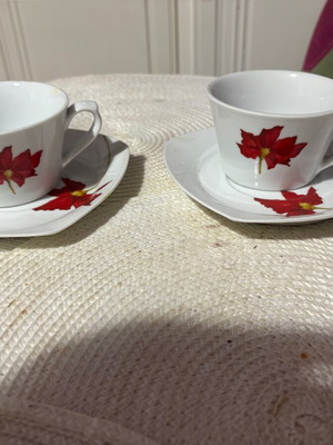 Cups with saucers set of 6 new with timeless design