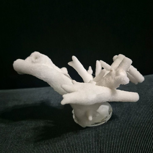 Aragonite like new on base