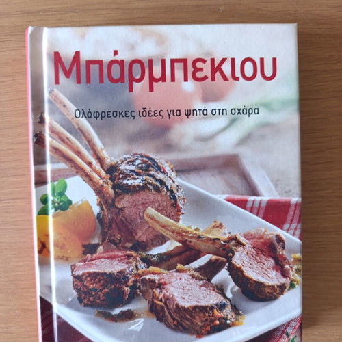 Barbecue book like new, small and handy with grill recipes
