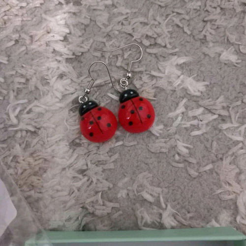 Earrings with ladybugs new