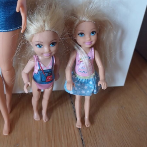 Barbie beauty studio with 4 dolls and dog, used