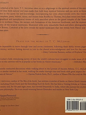 Cathedrals of the Spirit book used, English
