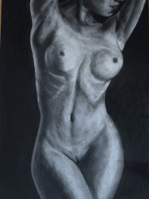 Charcoal sketch of female body A3+ size, new