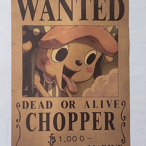 One Piece posters new, set of 10, 42x28.5 cm