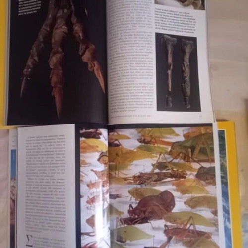 National Geographic magazines pack of 9 from 1999, like new