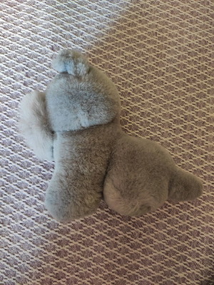 Stuffed toy in good condition