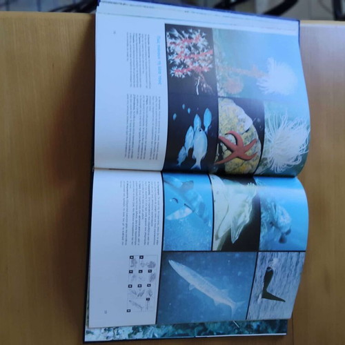 Custo Encyclopedia of Seas new, complete 20-volume set
