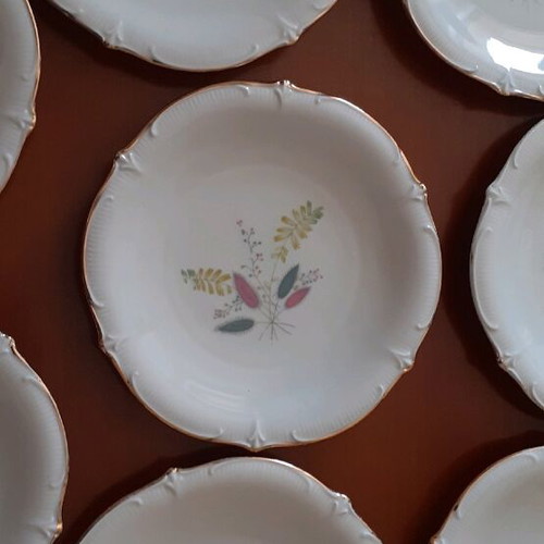 Porcelain plates Schumann Bavaria Germany set of 8 like new