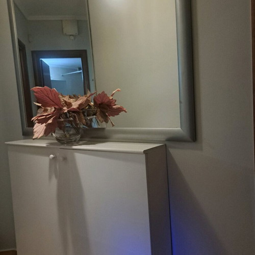 Shoe rack with mirror like new