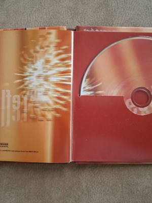 Raining Pleasure CD used