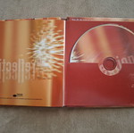 Raining Pleasure CD used
