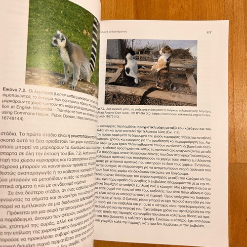 Ethology of Animals like new, Hintiroglou Staikou University Studio Press