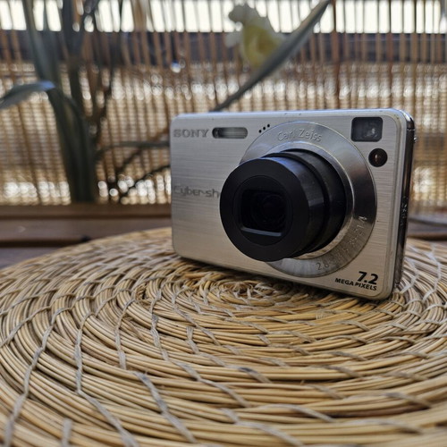 Sony Cyber-shot DSC-W110 7.2 MP Compact Digital Camera