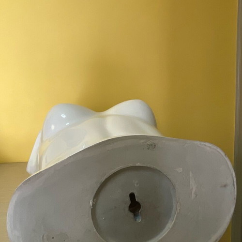 Mannequin torso used