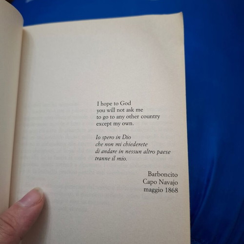Giorgio Faletti Fuori da un evidente destino novel, Italian