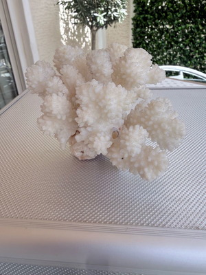 Natural coral like new, white decorative piece