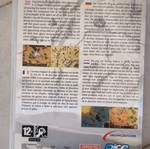 Persian Wars PC game used